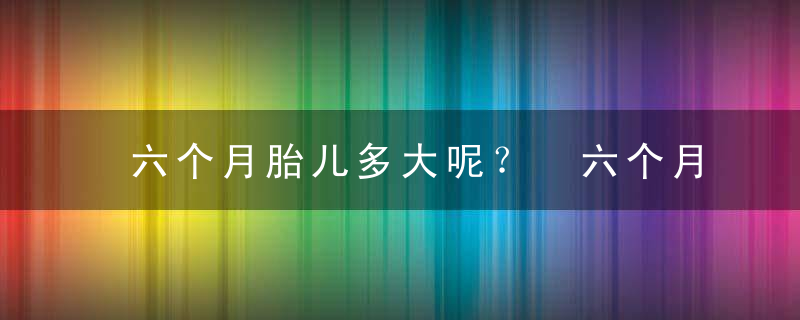 六个月胎儿多大呢？ 六个月胎儿有多大